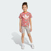 null : Semi Lucid Red / Multicolor