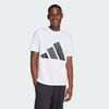 null : White / Black