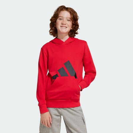 ADIDAS SPORTSWEAR Sweat-shirt à capuche Essentials Enfants Pure Ruby / Black JUNIOR