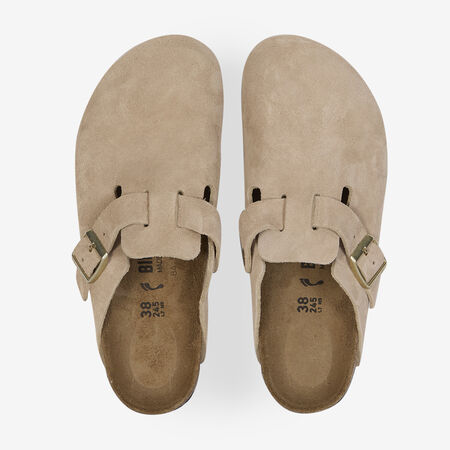 BOSTON SUEDE SANDCASTLE : BEIGE