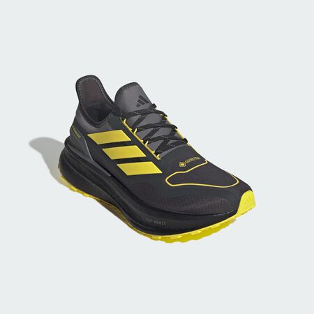 ADIDAS PERFORMANCE Ultraboost 5 GTX Carbon / Core Black / Grey Four MIXTE