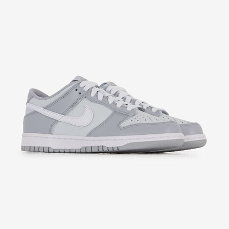 NIKE dunk DUNK LOW TWO TONE GREY GREY JUNIOR