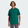 null : Collegiate Green / Black