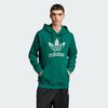 null : Collegiate Green