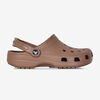 null : BROWN