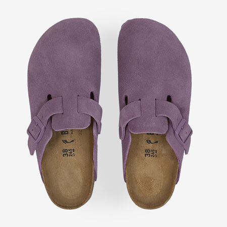 BOSTON SUEDE MAUVE : VIOLET